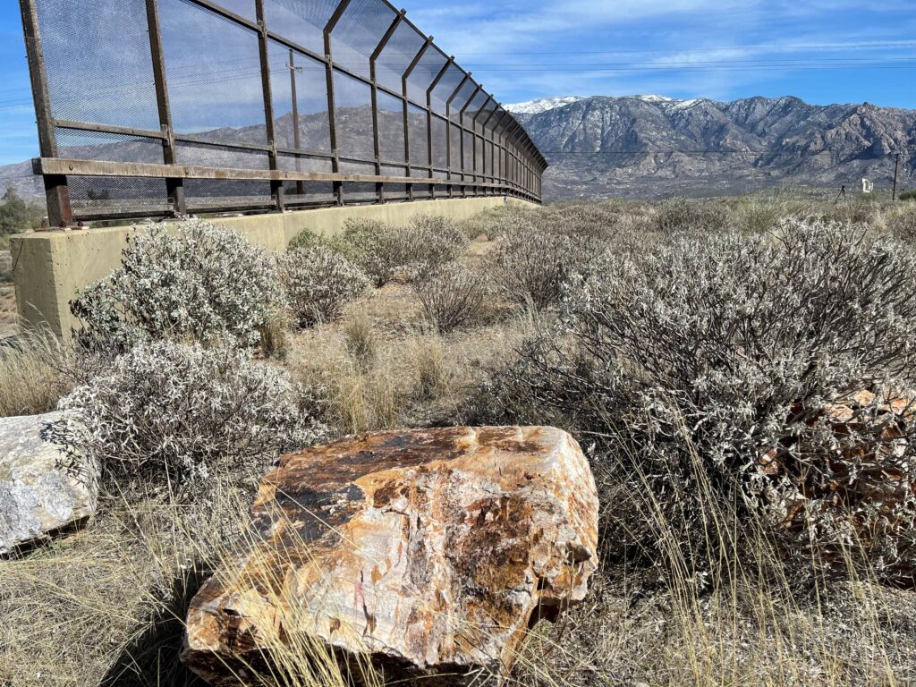 Wildlife linkages bridge over Oracle Road