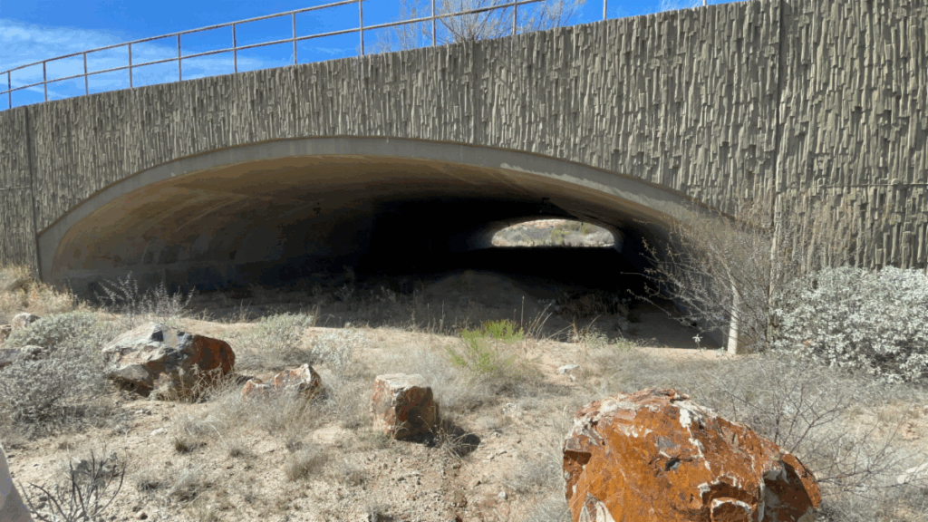 Wildlife underpass on Oracle Road.