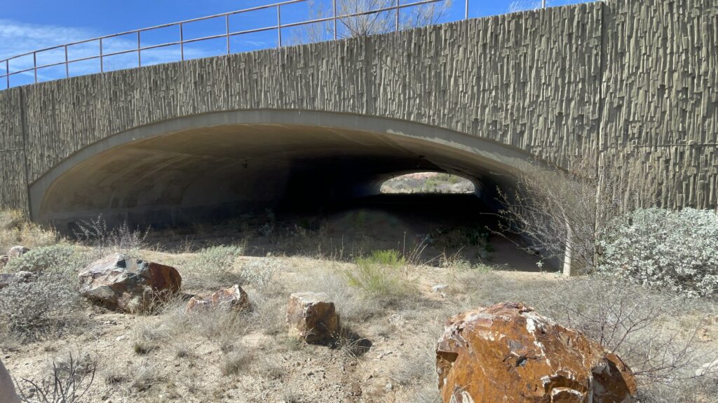Wildlife underpass Oracle Road