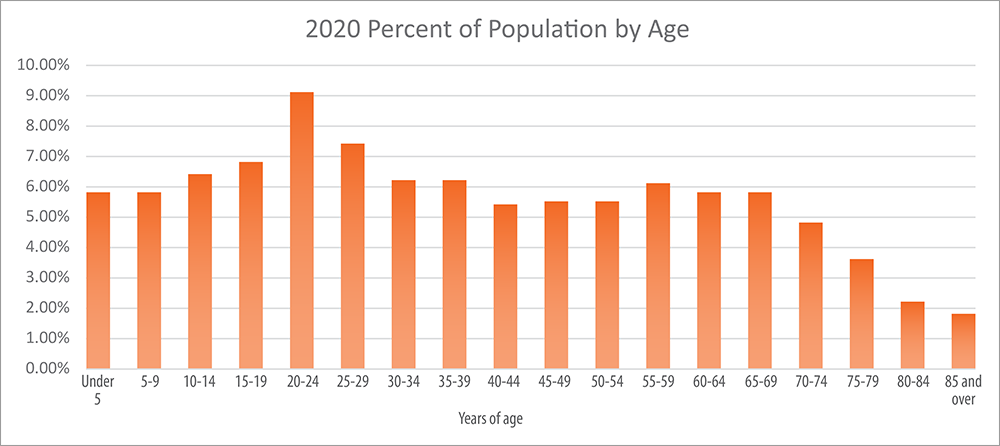 2020 Percent of Population by Age